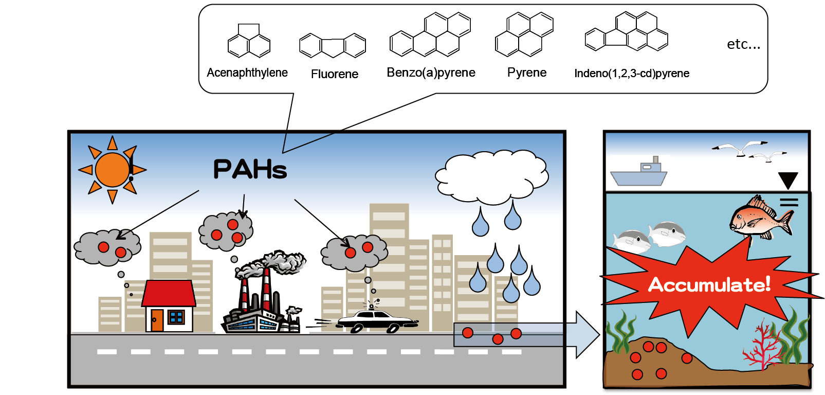 図：多環芳香族炭化水素類（PAHs）の環境動態